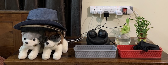 Home aspect in WFH setup